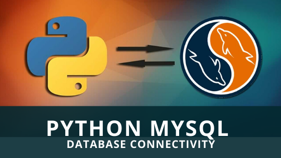 How To Connect MySQL Database In Python