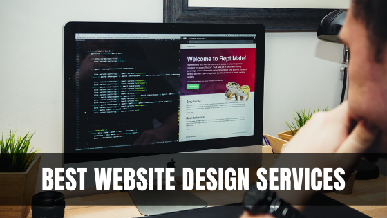 Give Your Business A New Identity With World Class Web Design Services