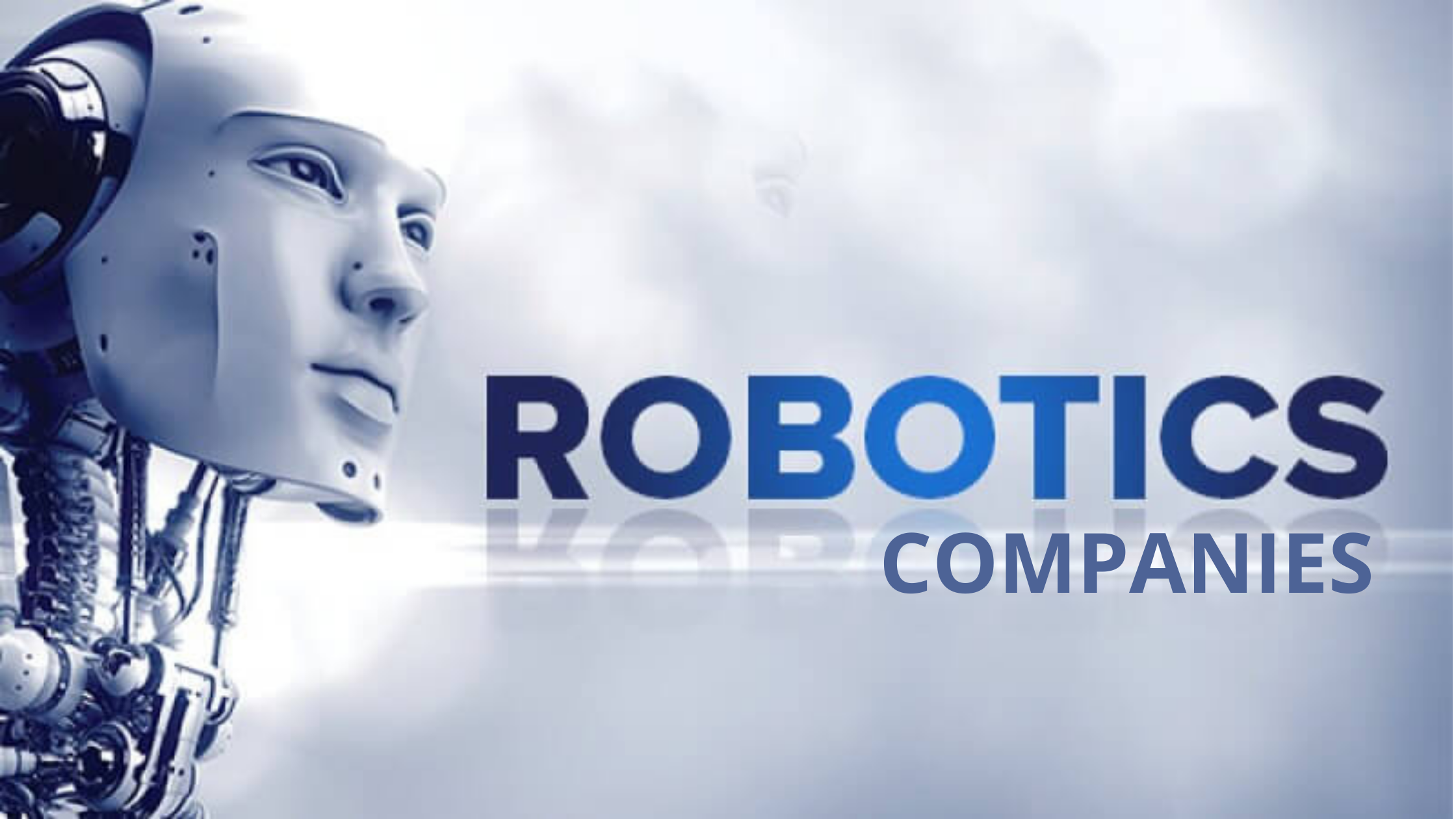 Top 10 Robotics Companies In India