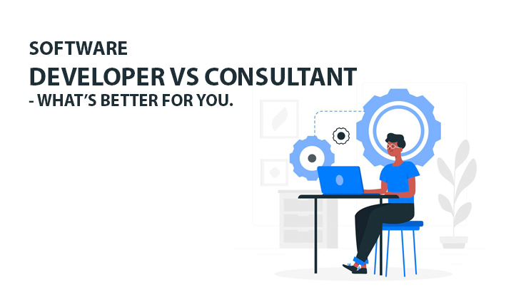 Software Developer Vs Consultant - What's Better For You