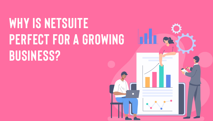 Why Is NetSuite Perfect For A Growing Business?