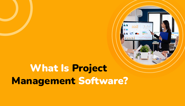 What Is Project Management Software?