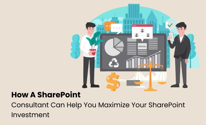 How A SharePoint Consultant Can Help You Maximize Your SharePoint Investment
