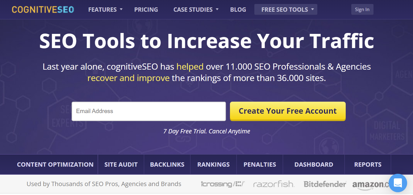 CognitiveSEO